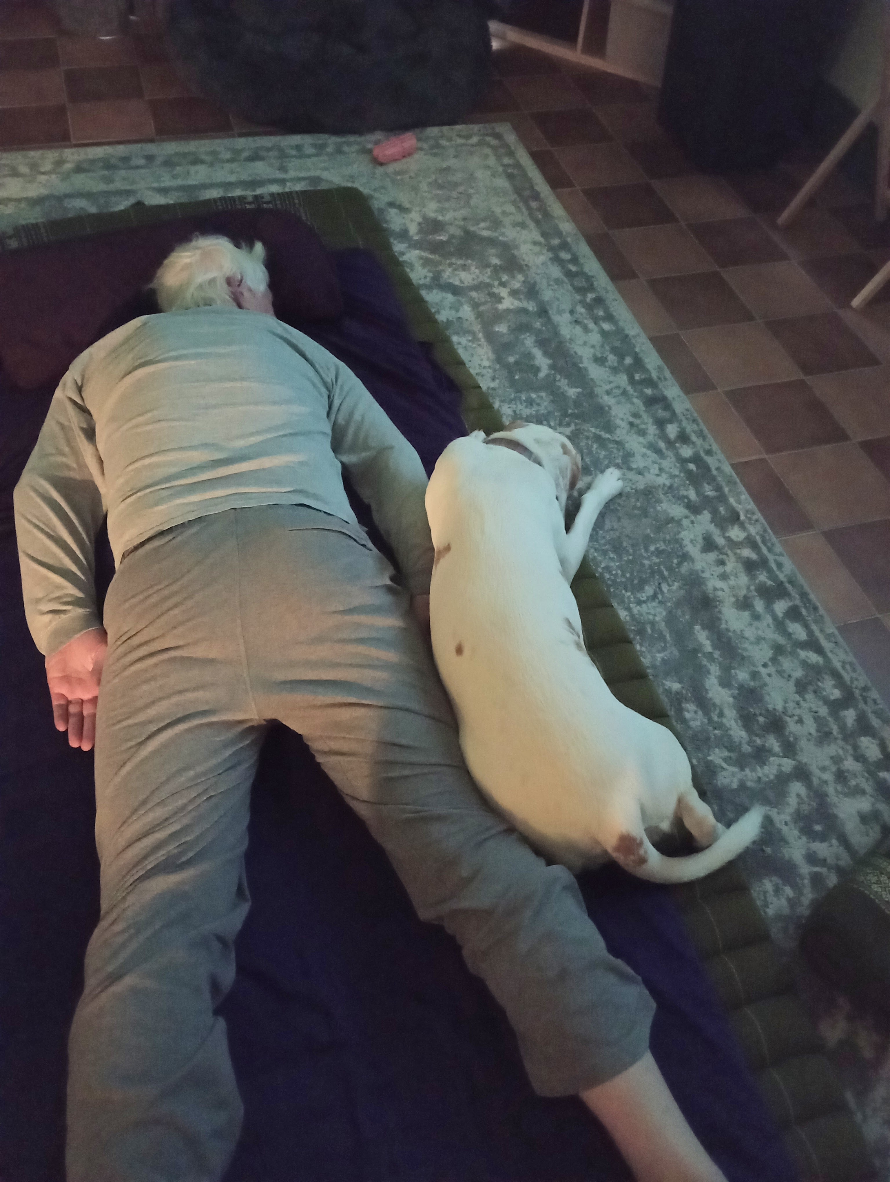 Roo assisting with a Thai Massage